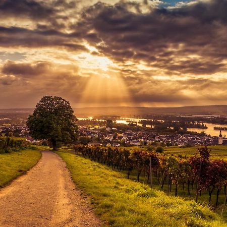 Ferienwohnung Reblaus Rüdesheim am Rhein Kültér fotó